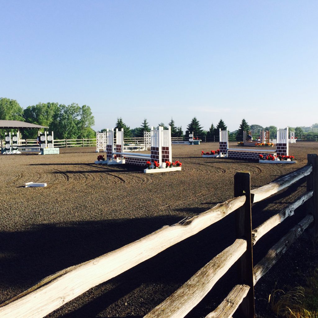 Wisconsin Equestrian Center We specialize as a full service dressage boarding, lesson and