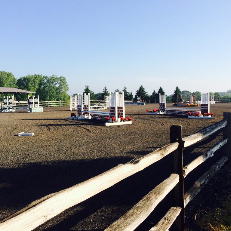Wisconsin Equestrian Center We specialize as a full service dressage boarding, lesson and